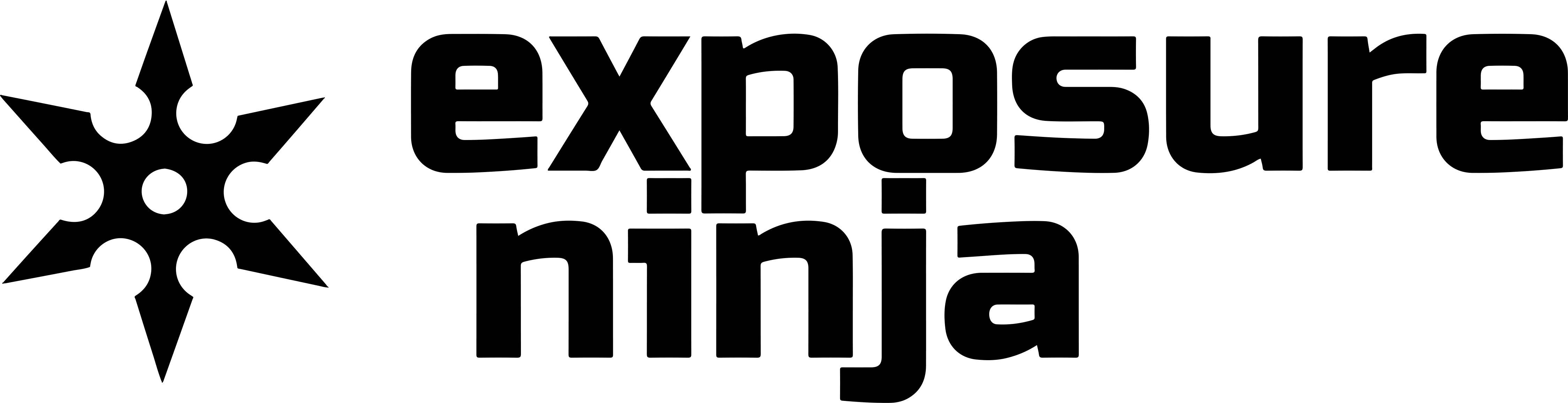 Exposure Ninja Black logo